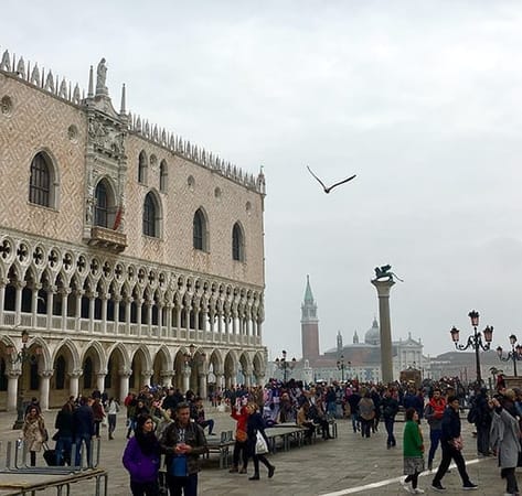 Venice Travel Guide: What to see and do: photo 12
