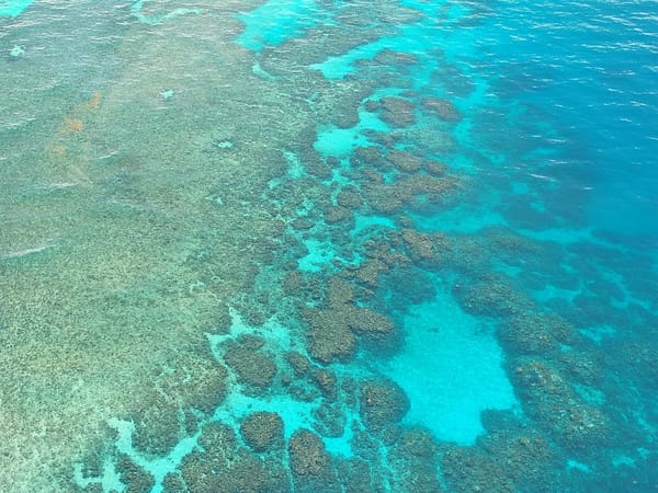 Journey in Australia from Brisbane to Cairns in 7 days: photo 4