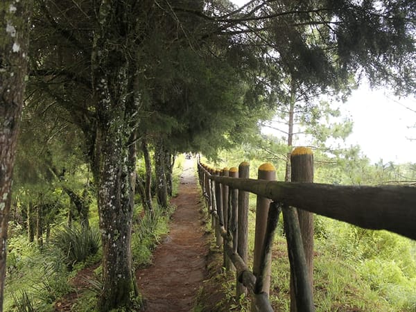 El Boqueron National Park - El Salvador: photo 1