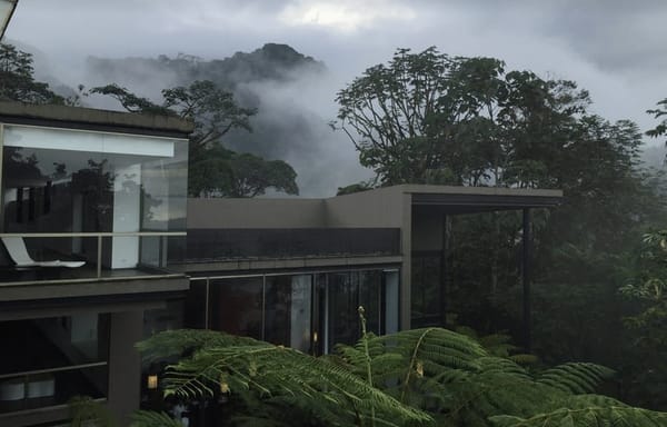 Mashpi Area of Conservation - Ecuador: photo 1