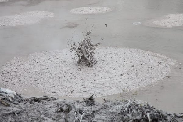 Wai-O-Tapu: the best volcanic park in New Zealand: photo 10