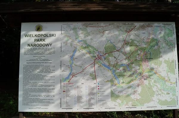 Puszczykowo - the green heart of Wielkopolska: photo 5