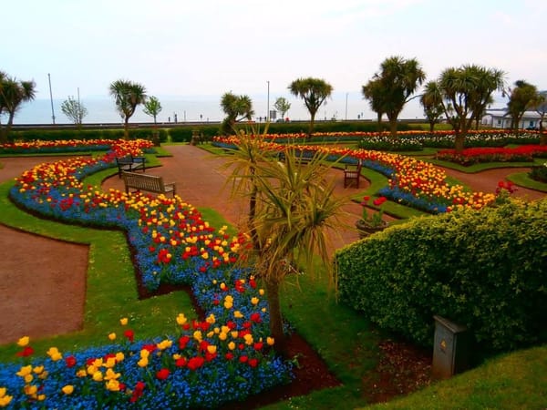 The Best Of English Torquay: photo 17