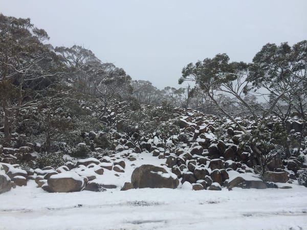 My Tasmanian Winter: Hobart: photo 12