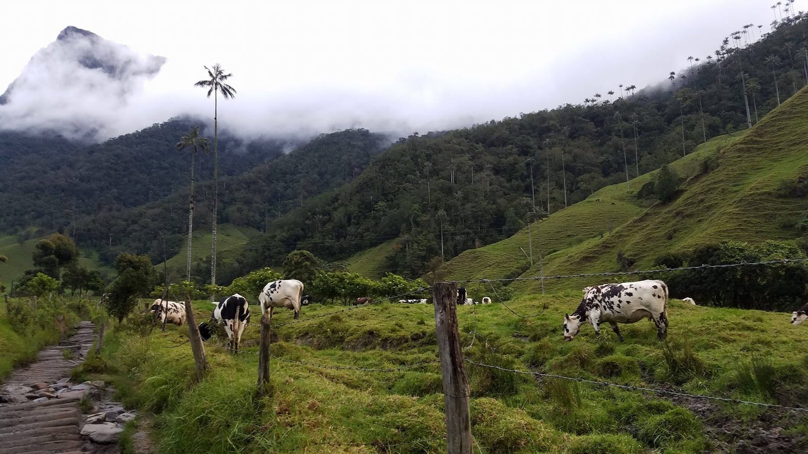Filandia: Hidden Gem of Colombia