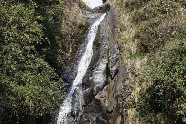 A perfect weekend in Mcleodganj, Himachal Pradesh, India: photo 4