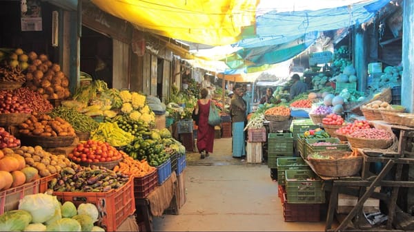 Travelling pregnant: 3 months in India: photo 4