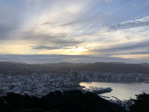 Wellington, the Windy City of Artists: photo 1