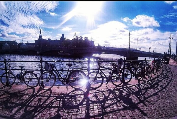A Turkish Girl Lands in Sweden: photo 1
