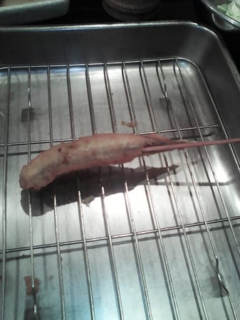Osaka: The Deliciousness: photo 21