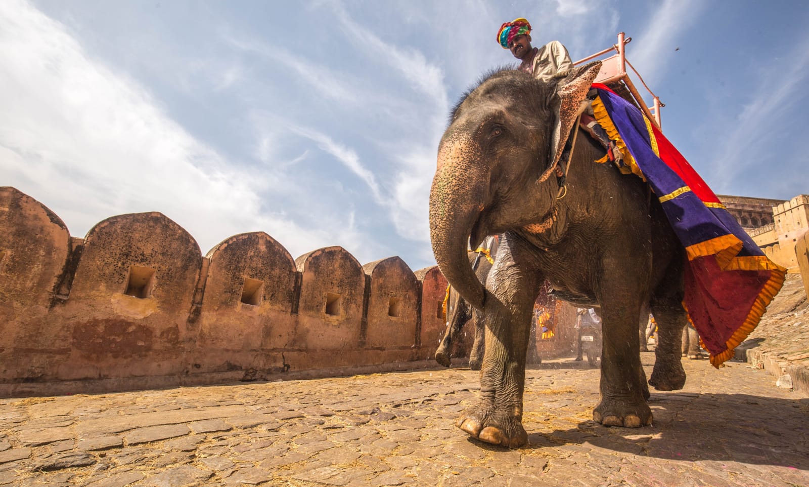 Jaipur - The Pink City of the Royals!