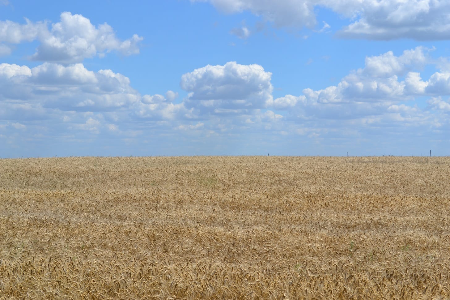 Why Ukraine is perfect choice for an exotic trip