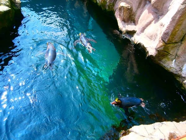The Best Of English Torquay: photo 9