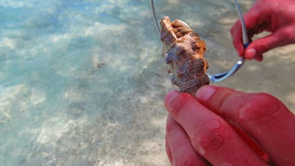 New Caledonia: Lost French Paradise: photo 4