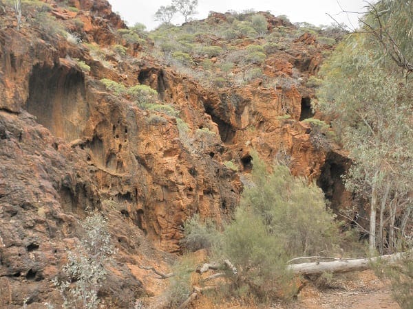 Flinders Ranges: Ancient earth and fascinating wildlife: photo 23