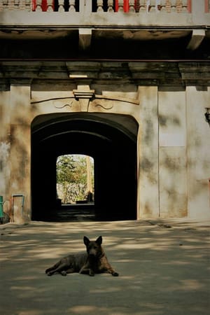 Discovering San Vicente, Ilocos Sur: Where to Go in this Old Town: photo 2