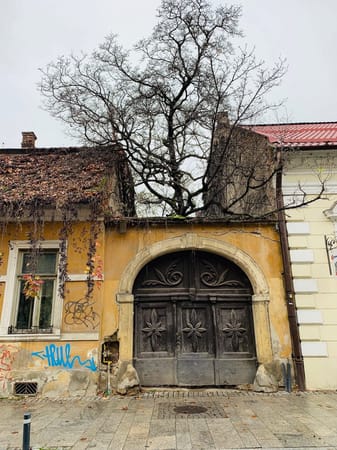 5 things you must do in Cluj-Napoca: photo 1