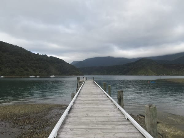 What To Do in Nelson City, New Zealand: photo 8