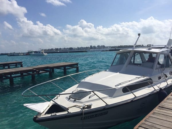 Maldives: trip to Male and Bodu Hithi: photo 2