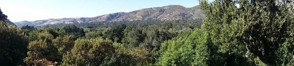California Coastal Road Trip!: photo 2