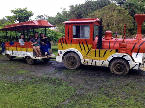 Exploring Bohol in 3 Days: photo 2