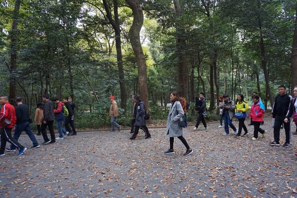 3 Days in Tokyo, Japan: A Travel Blog: photo 18