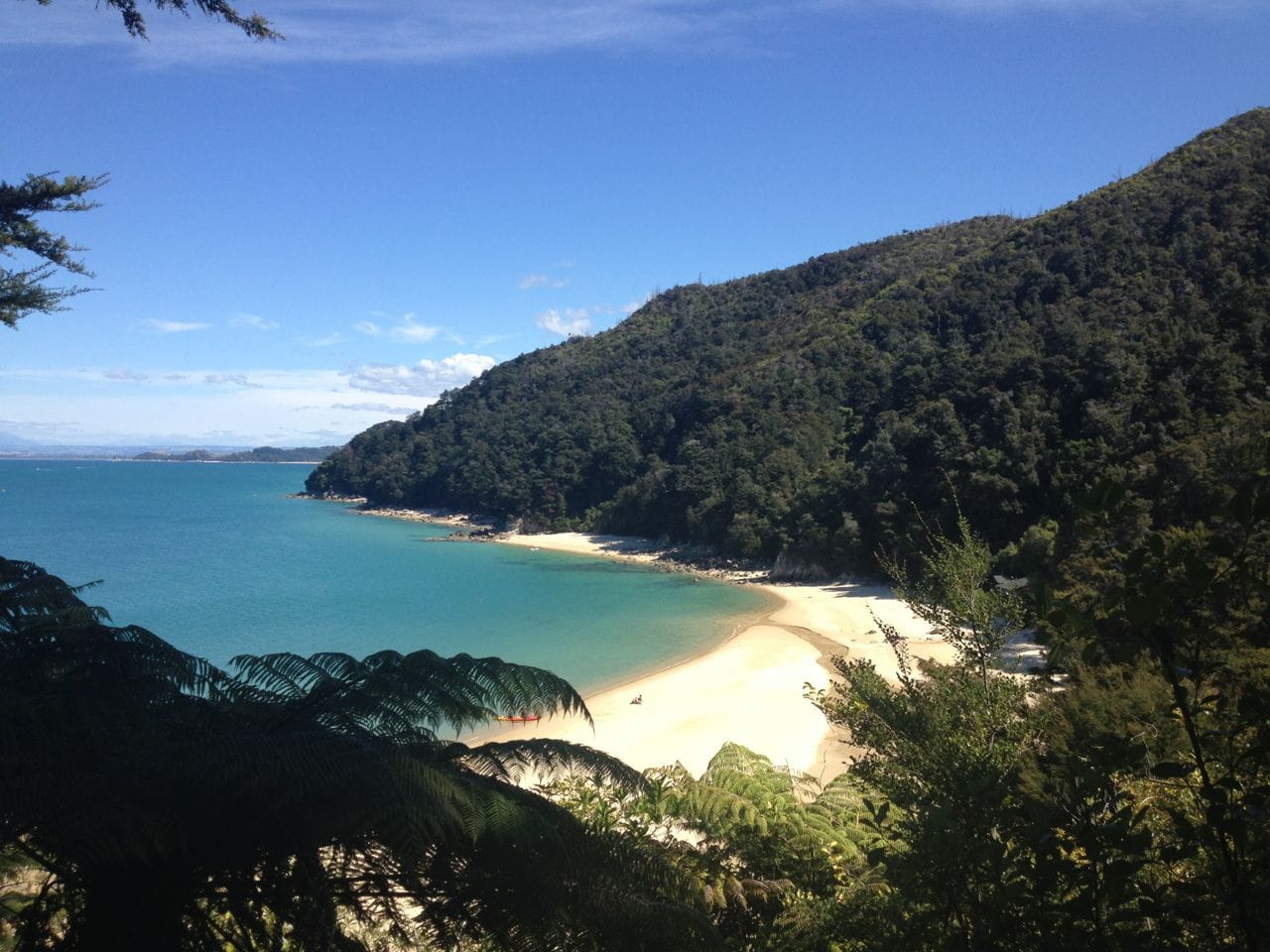 A Kiwi Experience on the South Island