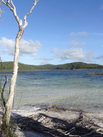"K'gari alias Fraser Island": photo 1