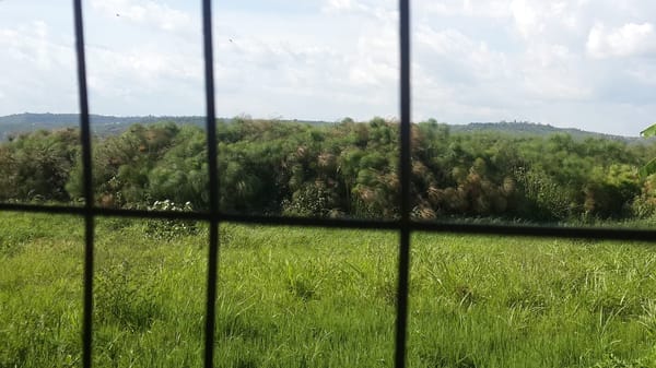 Kisumu Dala, the City by the Lakeside: photo 2