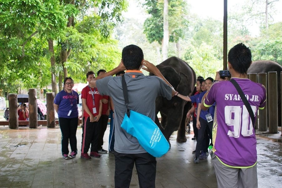 Kuala Gandah, Pahang: Awareness and Affection for Elephants