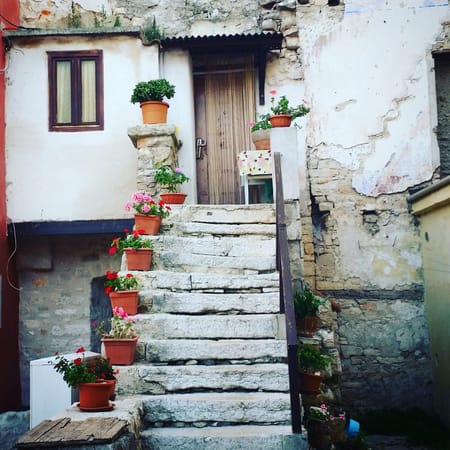 Brijuni Island – The Secret Paradise of Croatia: photo 12