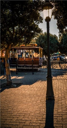 Winter in San Francisco: photo 12