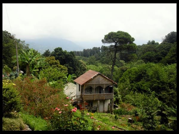 Batumi, here we go : western+eastern=amazing!: photo 7