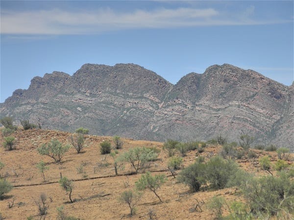 Flinders Ranges: Ancient earth and fascinating wildlife: photo 13