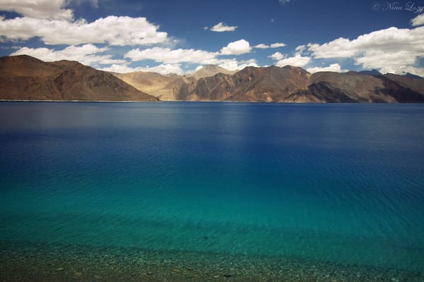Ladakh: exploring the stunning mountain region of India: photo 11