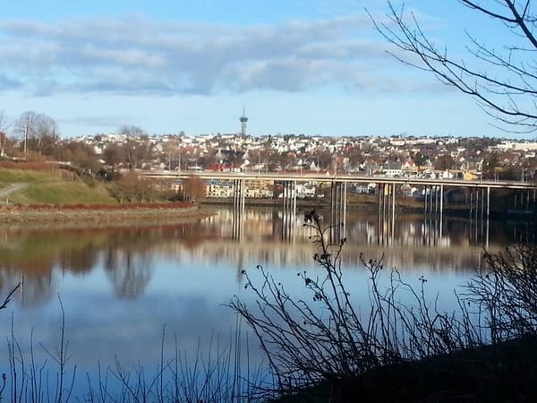 Trondheim, Norway: Northern lights and dog-sledding: photo 4