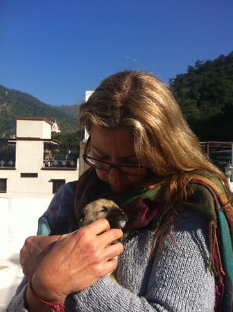 Its not all about the yoga in Rishikesh: photo 5