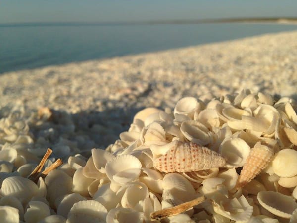 Perth: An Underrated Oasis in the Middle of the Outback: photo 12
