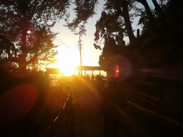 Hill Stations of India - An Insider’s Travel guide to Darjeeling: photo 5