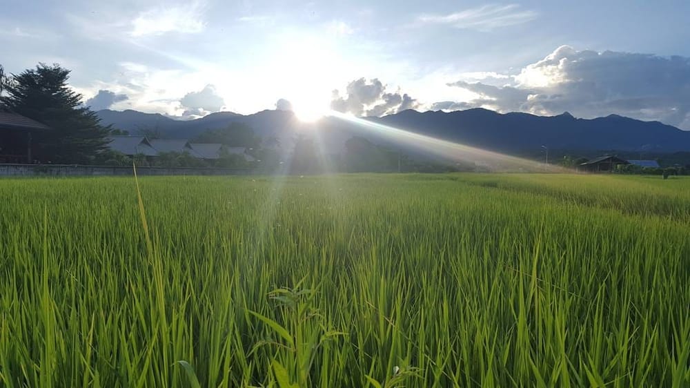 Eating in Pai, Thailand