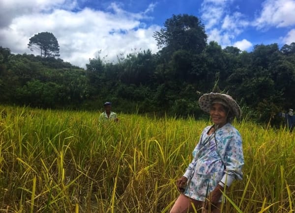 What Lies Behind the Mountains of Mountain Province, Philippines: photo 3