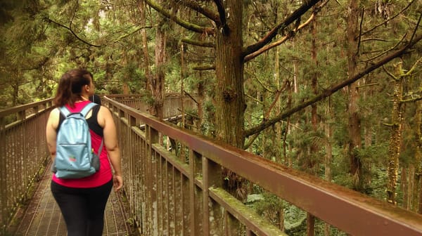 Exploring the Hidden Gems of Taiwan: Xitou (She-toe): photo 6