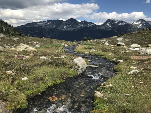 The Locals Guide to a Summer in Whistler: photo 4