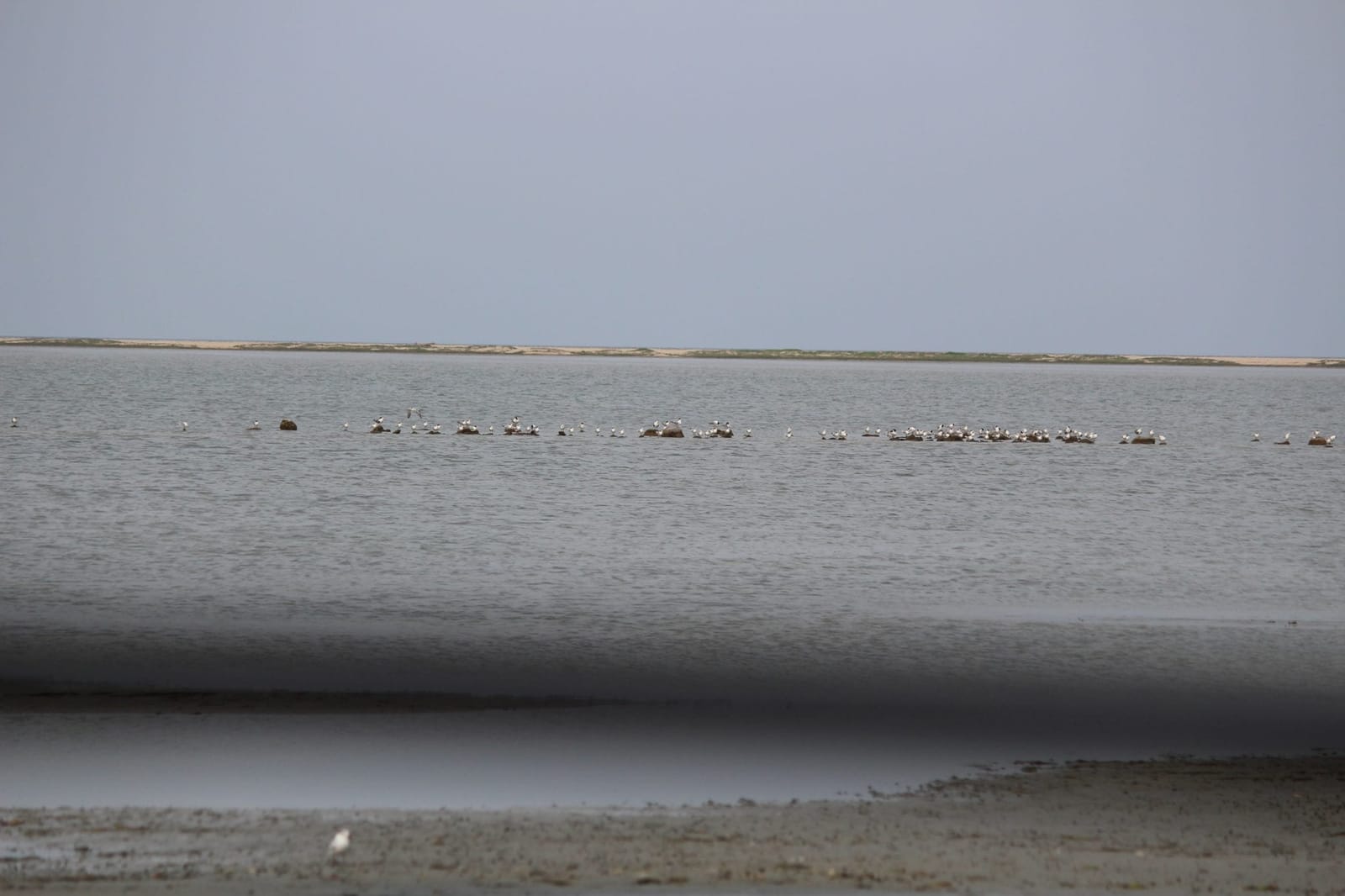 Rameswaram, India: What to do, Where to Eat and More
