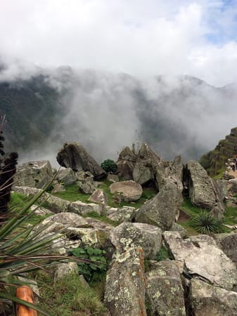 Visit  Machu Picchu-Wonder of the World: photo 18