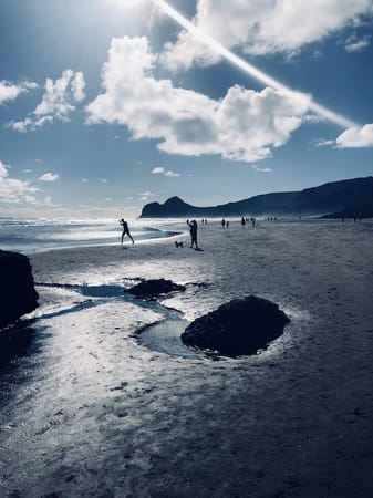 Amazing  free places to visit in Aukland: photo 5