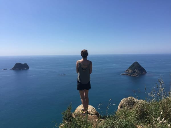 Favourite Spots in New Plymouth: photo 2