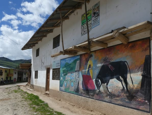 Cloud Forests of Udima, Peru; Escape the Gringo Trial: photo 10