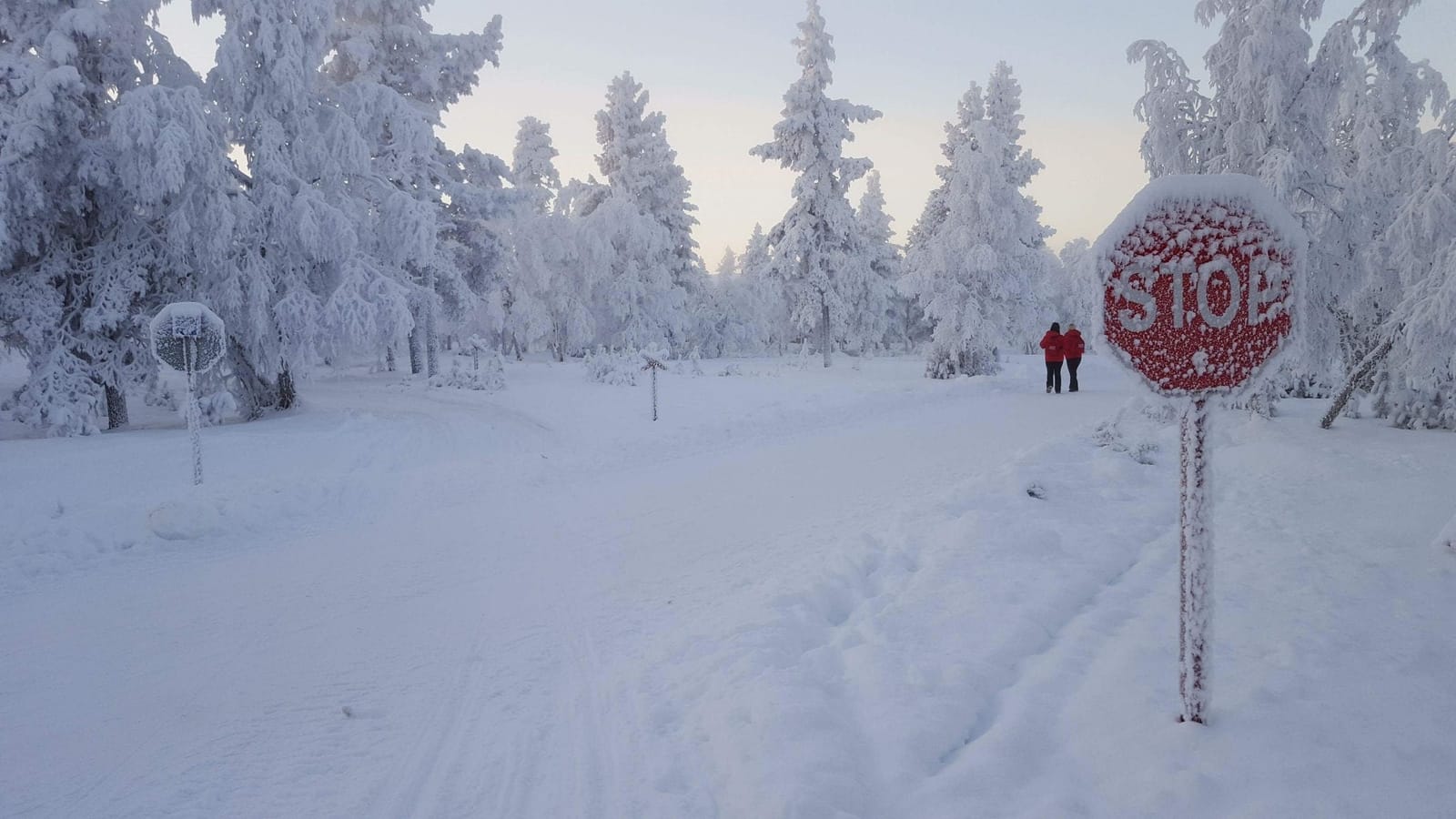 A Winter Wonderland in Finnish Lapland