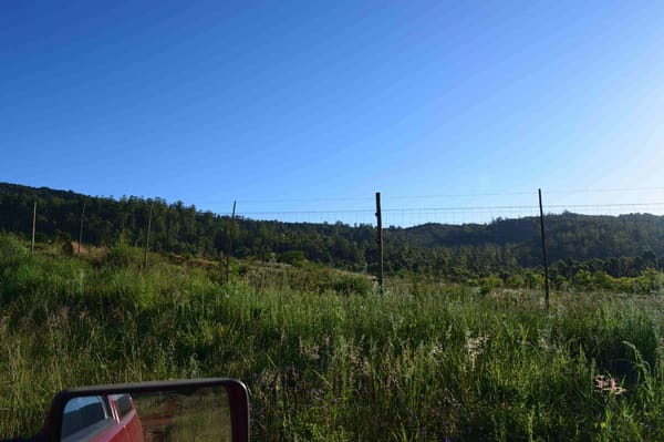 Exploring the Soutpansberg mountain range: Hanglip Nature Reserve: photo 4